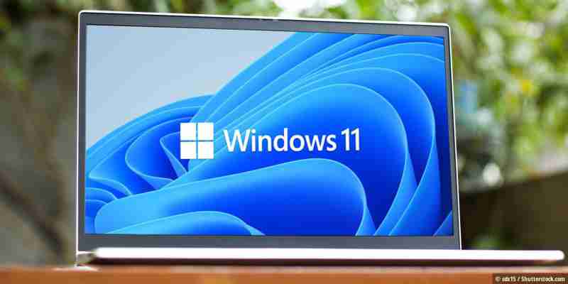 Der Windows 11 Netzwerk-Guide