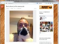 Cat Bearding ist der neue schräge Internet-Spaß