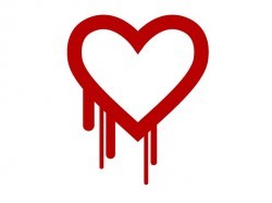 Für Heartbleed verantwortlicher Programmierer gesteht Unachtsamkeit ein