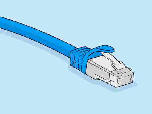 Netzwerkkabel Test & Vergleich 2022: Produkte auf BILD